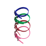 Dog collars - volume - 20 pc Minimum_3